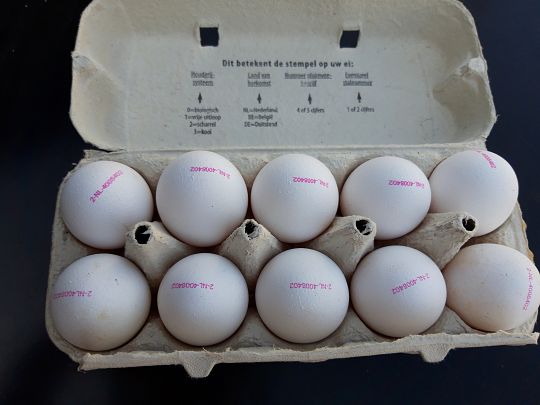 Menda City Oprecht van mening zijn Eieren (per 10 stuks) - Asperges Bax Leende
